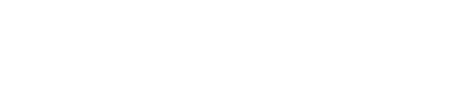 Cer-ligerien-stage-point-saint-etienne-logo